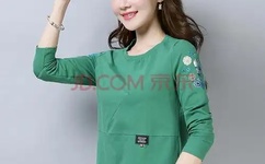 欲望格斗2去马赛克补丁